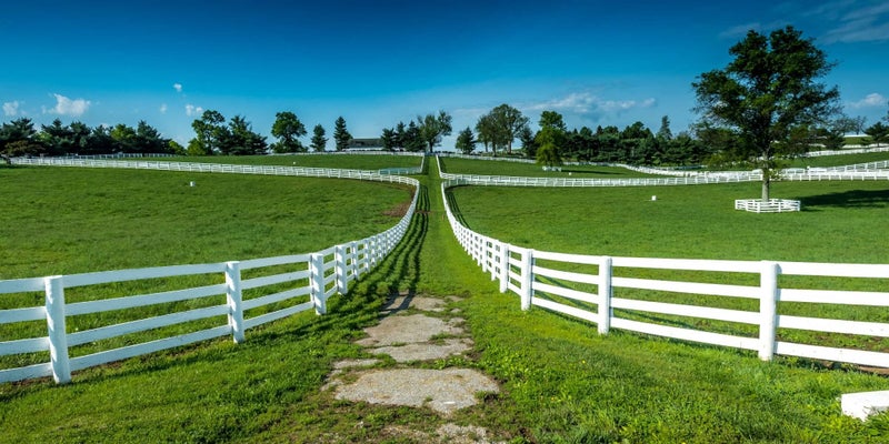 Horse farm in Wilmore, Kentucky