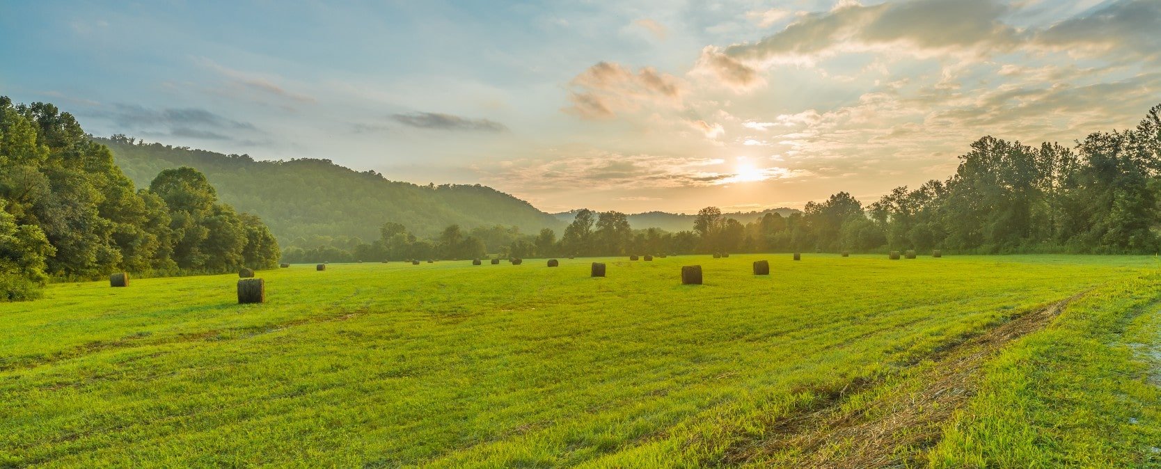 Beautiful field on a horse farm in Kentucky