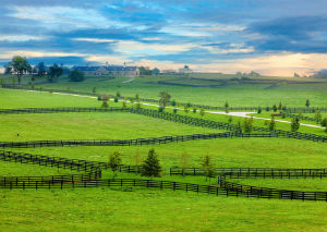 Paris KY Land For Sale