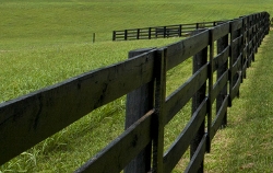 Face Board Fence