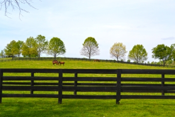 Georgetown land for sale